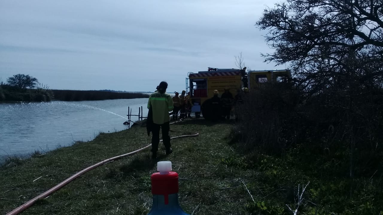 ejercicio forestal 4