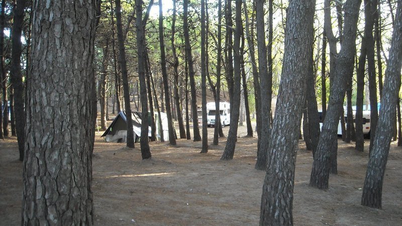 camping