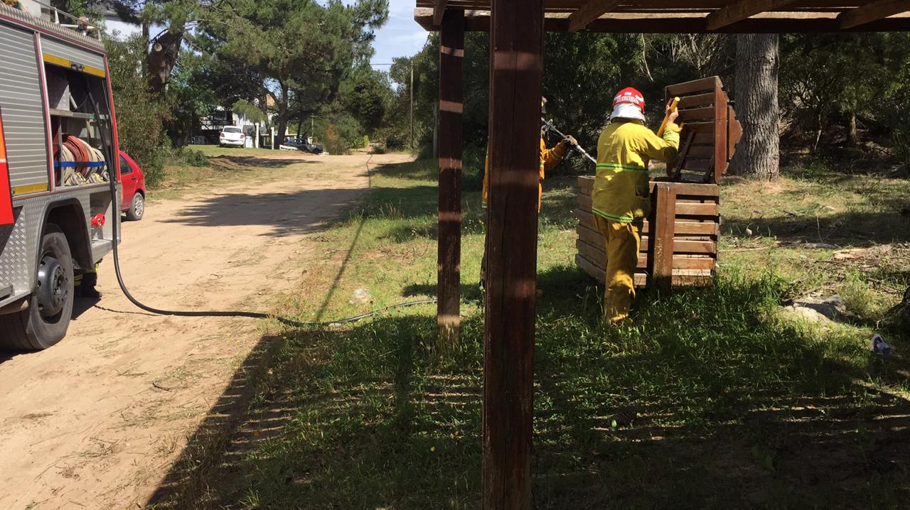 cesto incendiado 28 y copa
