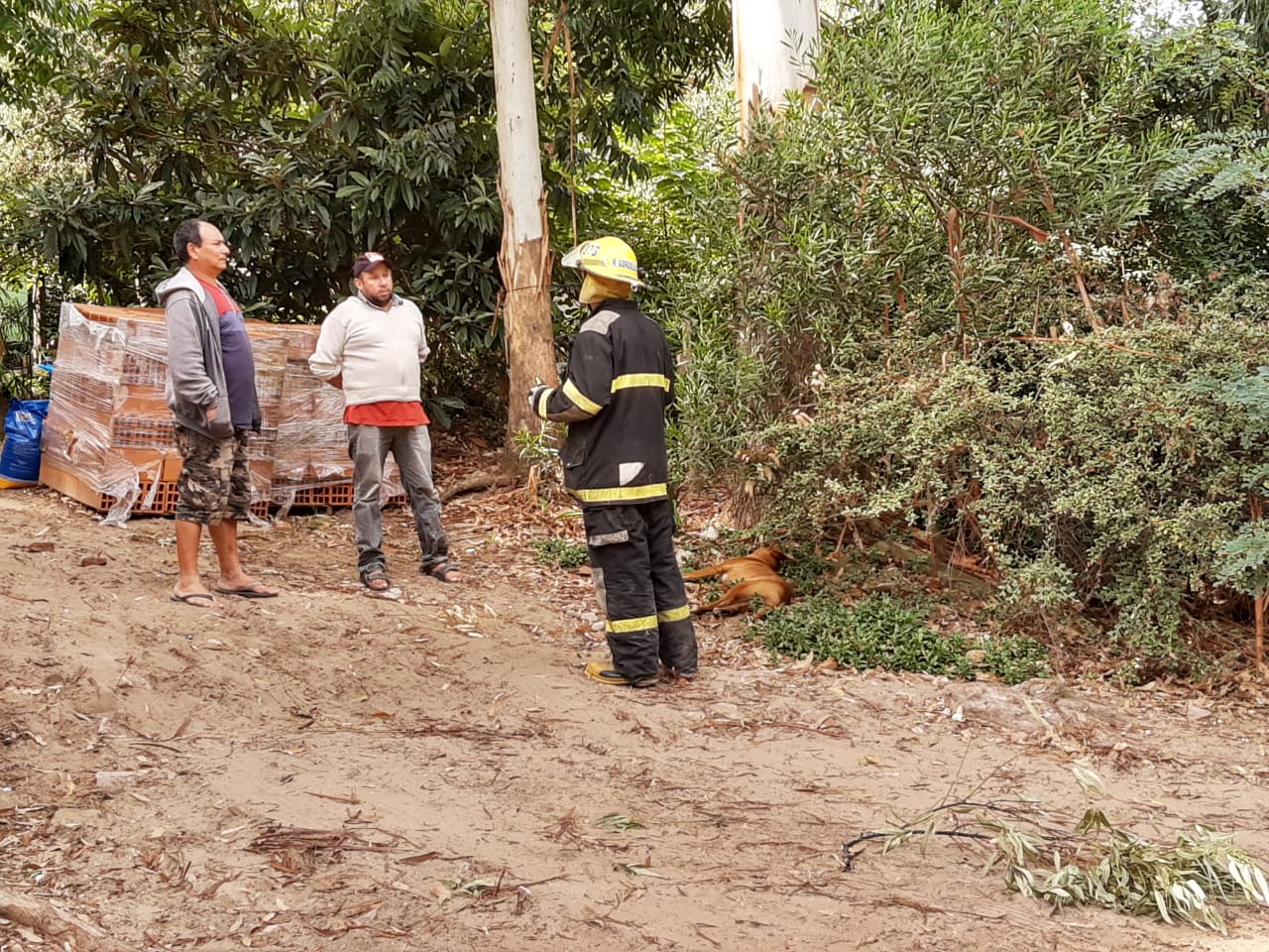 cable cortado cevige