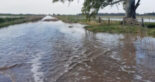 Balcarce : “la angustia es insoportable”, el agua no cesa y mantiene a productores en vilo