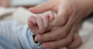 Más de 100 familias se reunieron en Mar del Plata para la primera capacitación de “Familias Solidarias Colibrí”