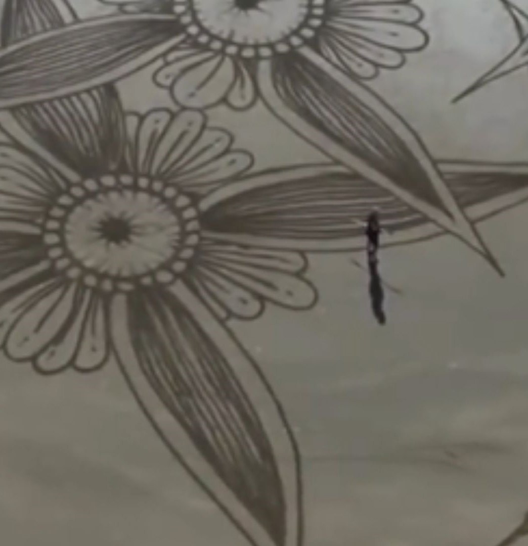 Arte efímero en la costa: Alejandro Arce sorprende con sus dibujos gigantes sobre la arena