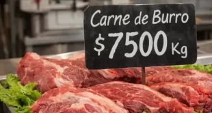 Sorpresiva propuesta en Chubut: una carnicería vende carne de burro a $7.500 el kilo