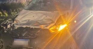 Ruta 11: en menos de una semana, dos accidentes por caballos sueltos en La Costa