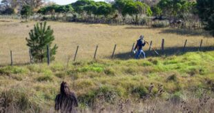 Comienzan a diagramar el parque logístico industrial en Villa Gesell