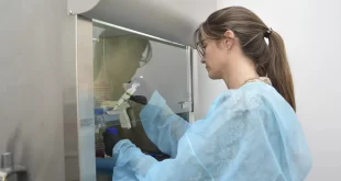 Ciencia argentina: logran cicatrizar en tiempo récord una úlcera con parches de células de placenta